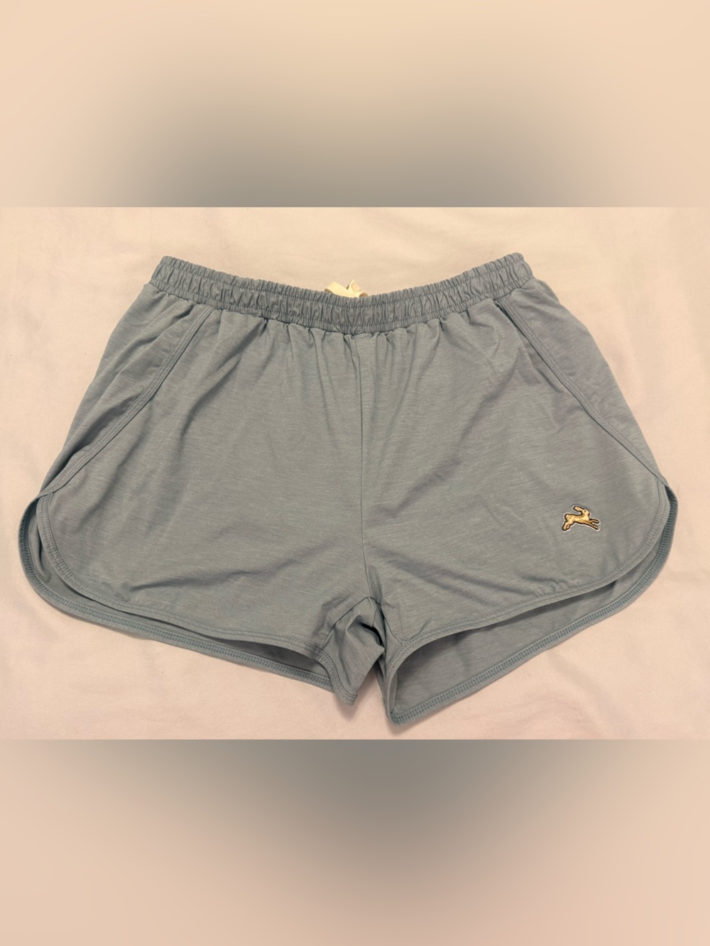 Tracksmith Session Shorts